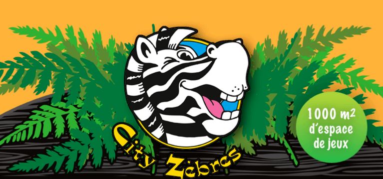 City zèbre Air de jeux