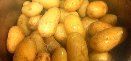 Vendee 1 - Bonnotte de Noirmoutier