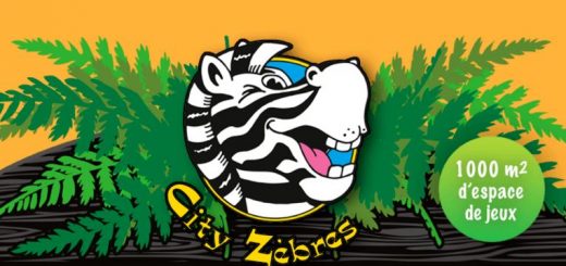 City zèbre Air de jeux