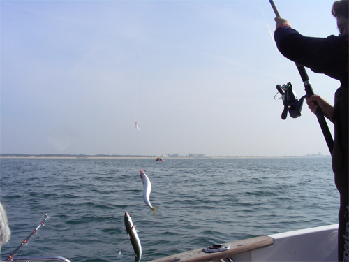 Pêche en mer Vendée
