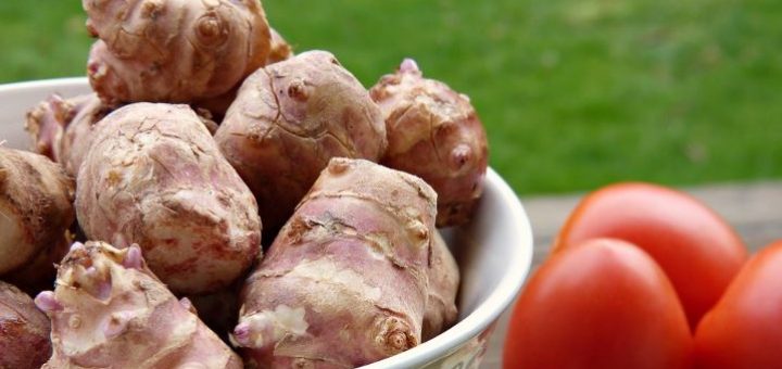 Topinanbourg recette