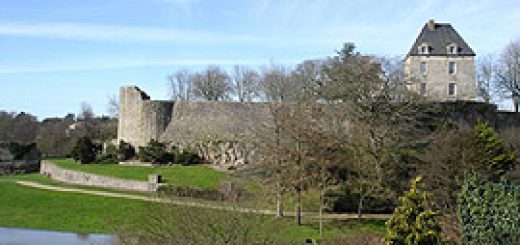 Château de Montaigu